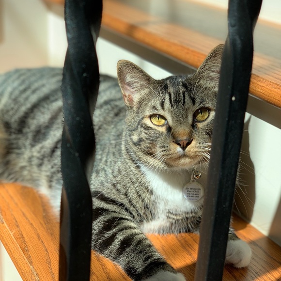 BUY MY TRASH! - Picture 13 of 16